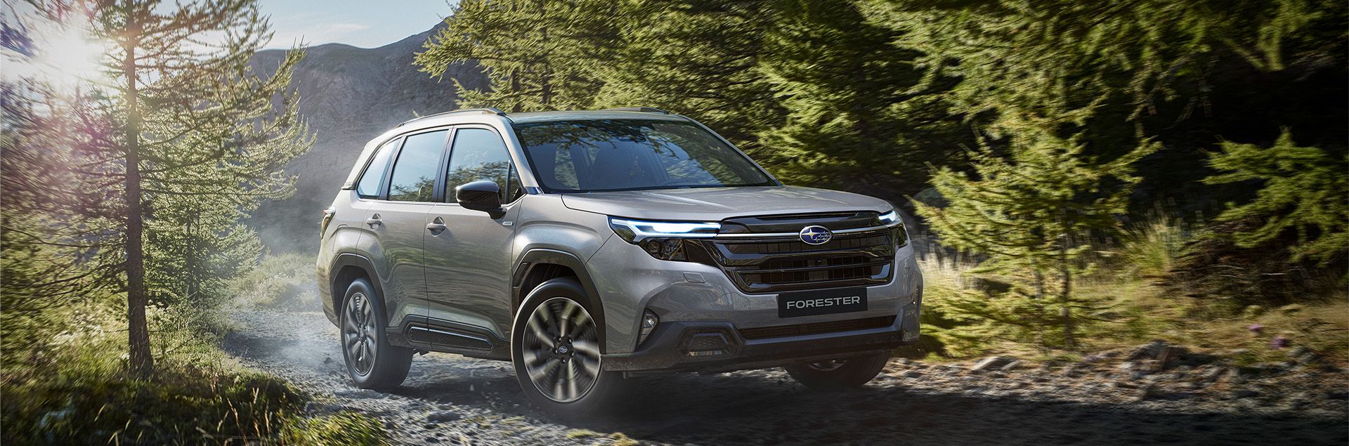 Der Subaru Forester