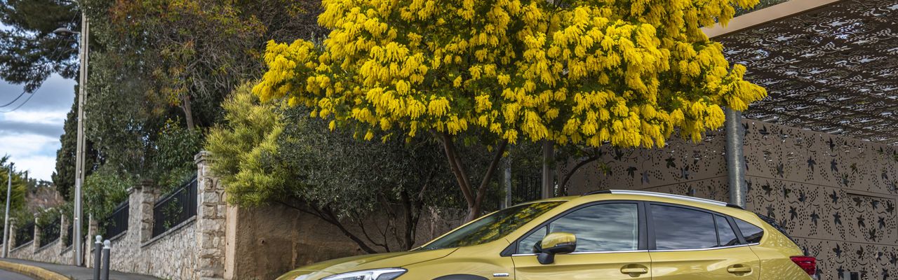 Subaru XV ist ein Restwertriese 2025